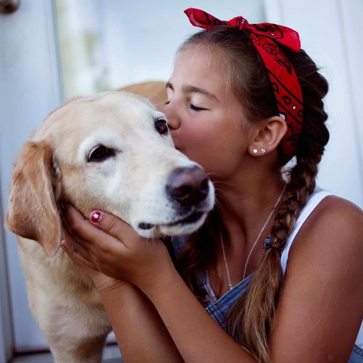 Blonde Labrador dog and a girl with long brown hair and a red hair tie hugging dog.