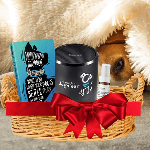 Brown and white dog lying in the background near a dog gift basket with a book and music and CBD hemp spray in the gift basket tied with a red bow.