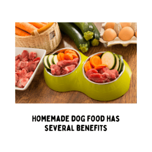 homemade dog food benefits