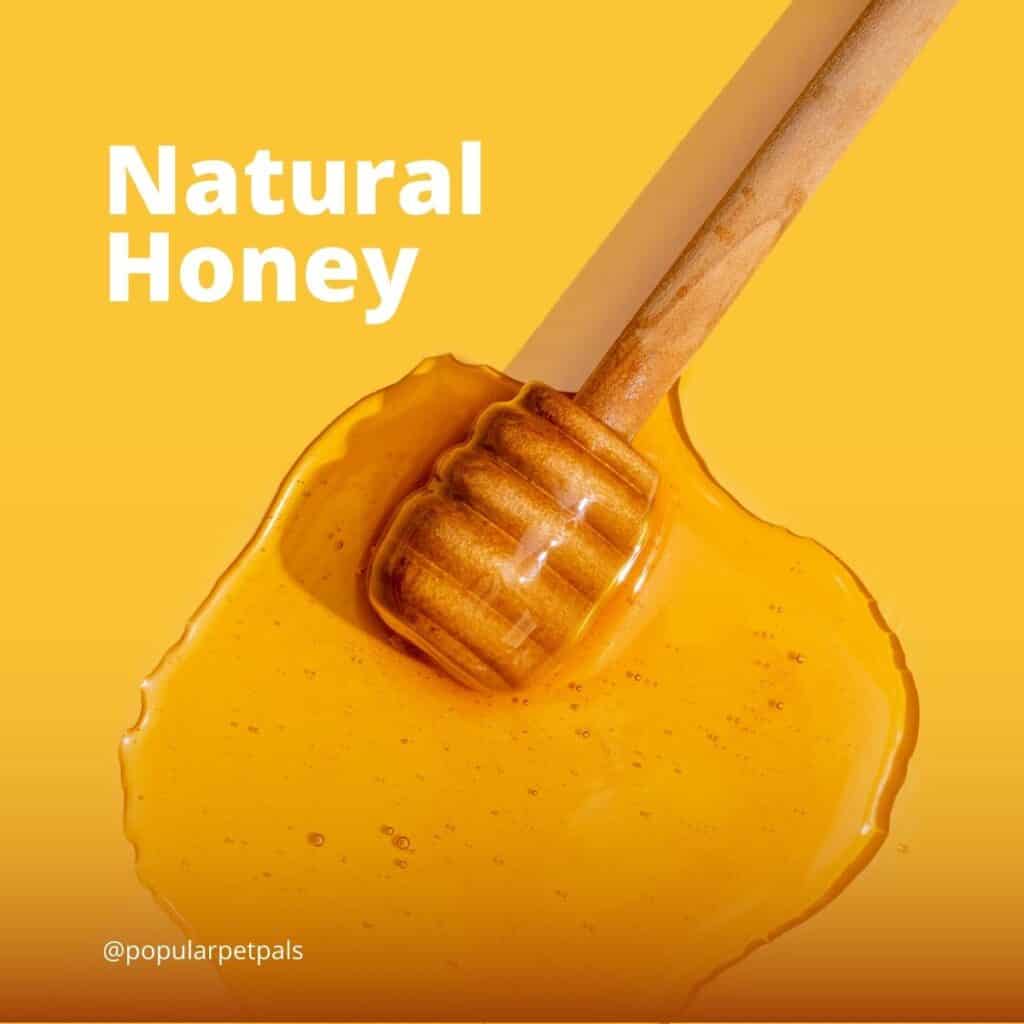 Picture of honey on a honey utensil spilled on a yellow background with "natural honey" written near it.