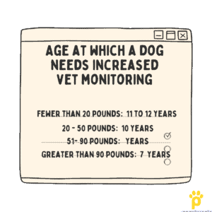 Age dog needs vet