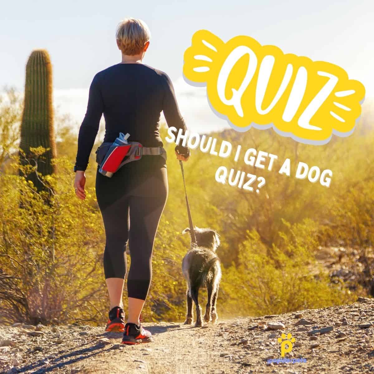 Picture of a woman and a dog walking on a desert trail with the word Quiz" on it