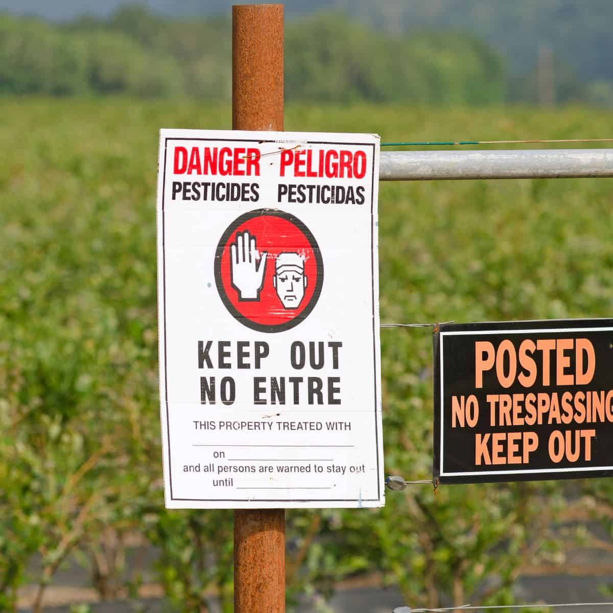 Signs in field indicating danger do not enter after chemical application.