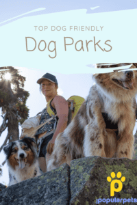 Pin article dog friendly parks