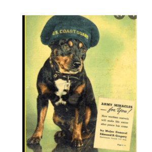 sinbad dog sailor