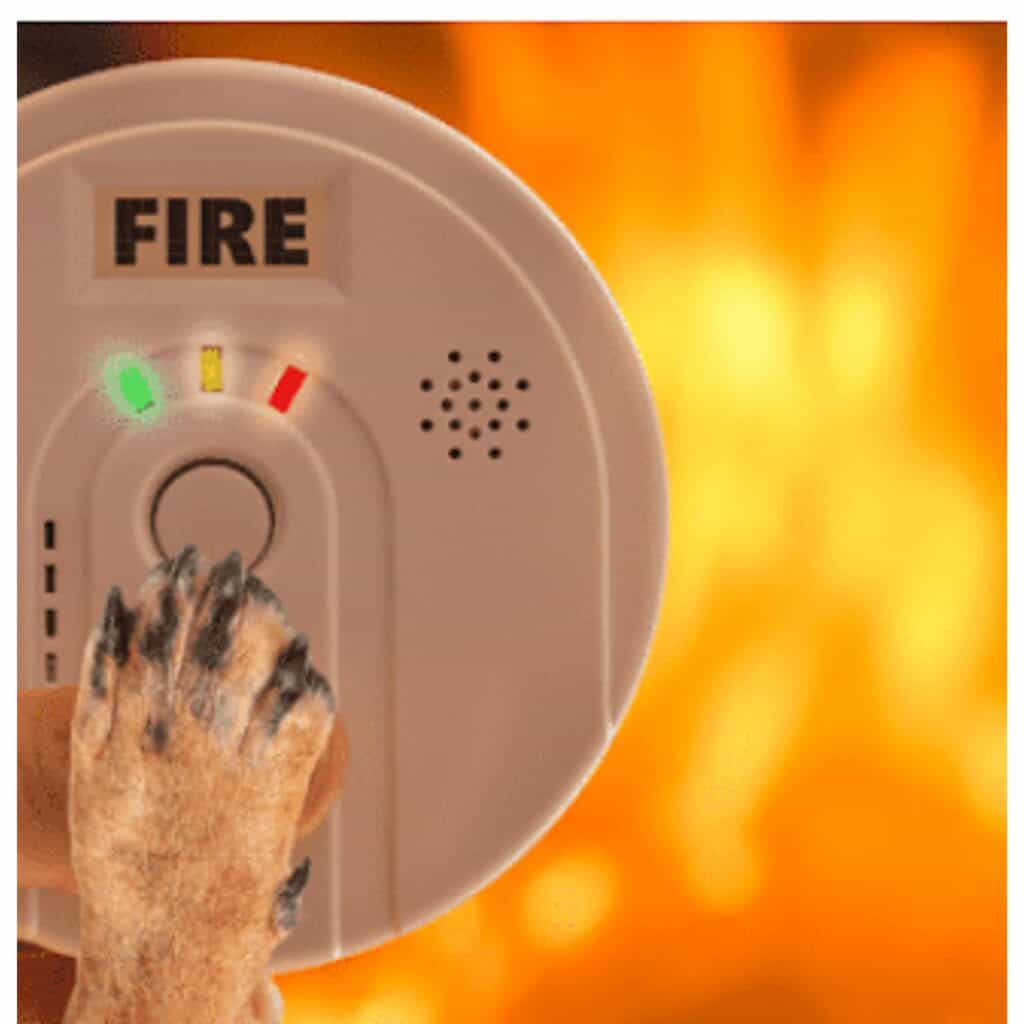 Dog paw touching a fire alarm with a fire blazing in the background.