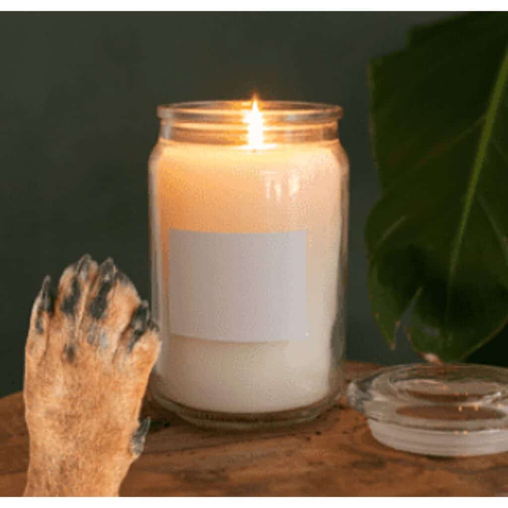 A brown dog paw reaching for a beige lit candle in a jar.