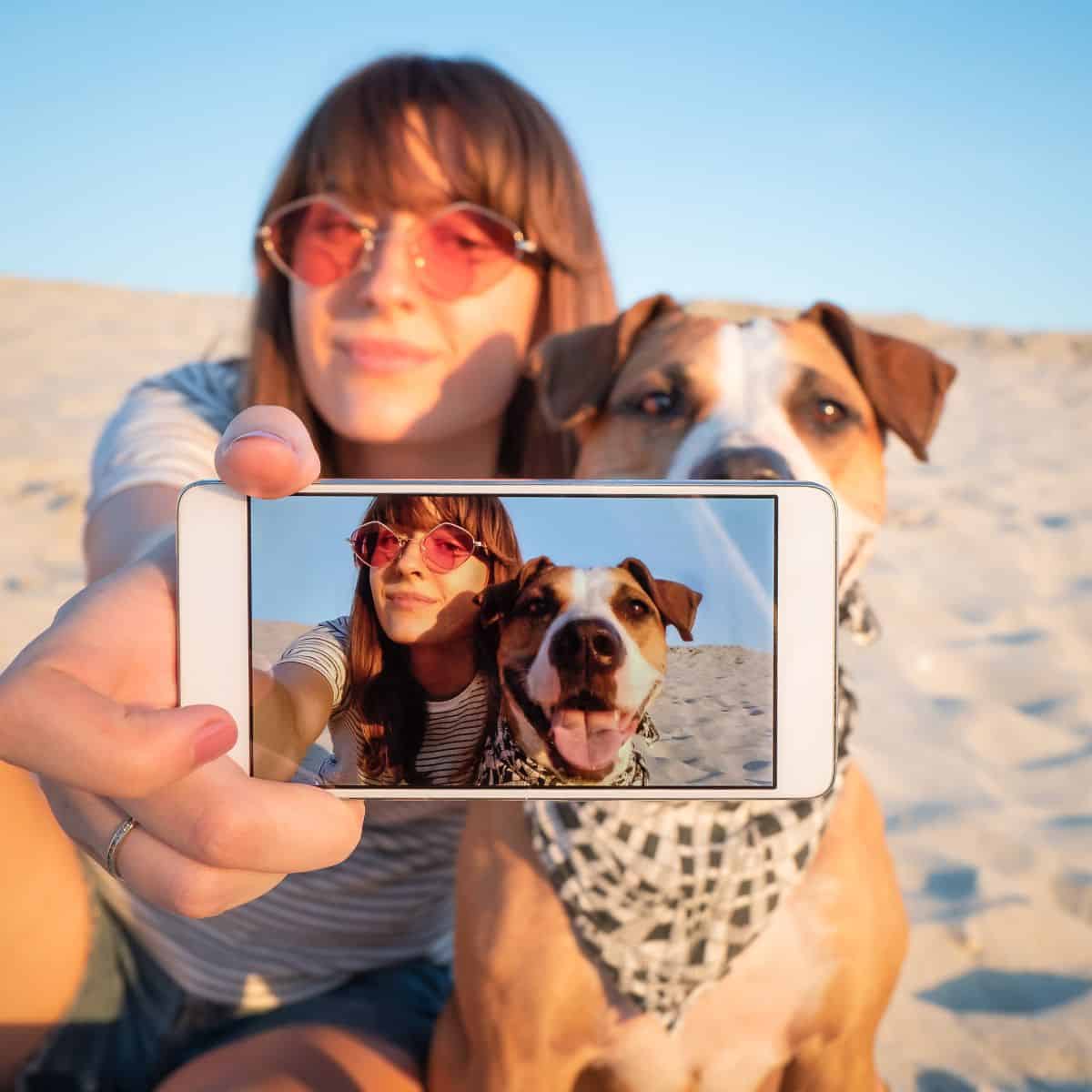 Brown and white dog with a woman in pink colored glasses on the beach taking a selfie.