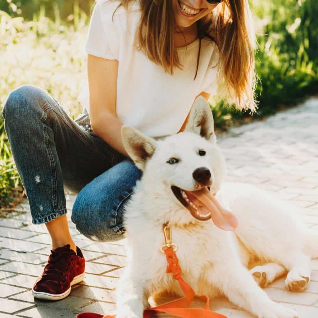 Blonde Shephard like dog on hard surface with a woman in jeans and white shirt.