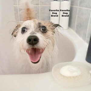 Dog in tub looking happy getting a bath with shampoo bottles in the corner 