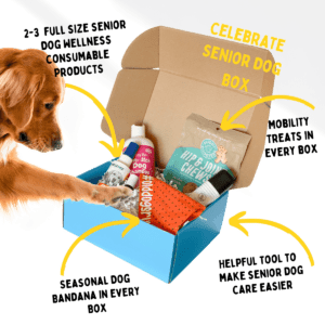 Senior Dog Subscription Box with words to describe offering like 2-3 wellness products per month and a dog bandana in every box