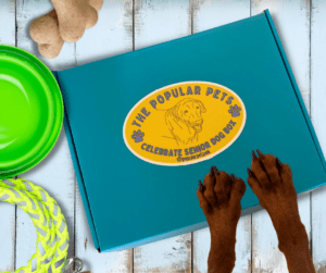 brown dog paws on a blue subscription box with dog treats, leash and dog frisbee in background
