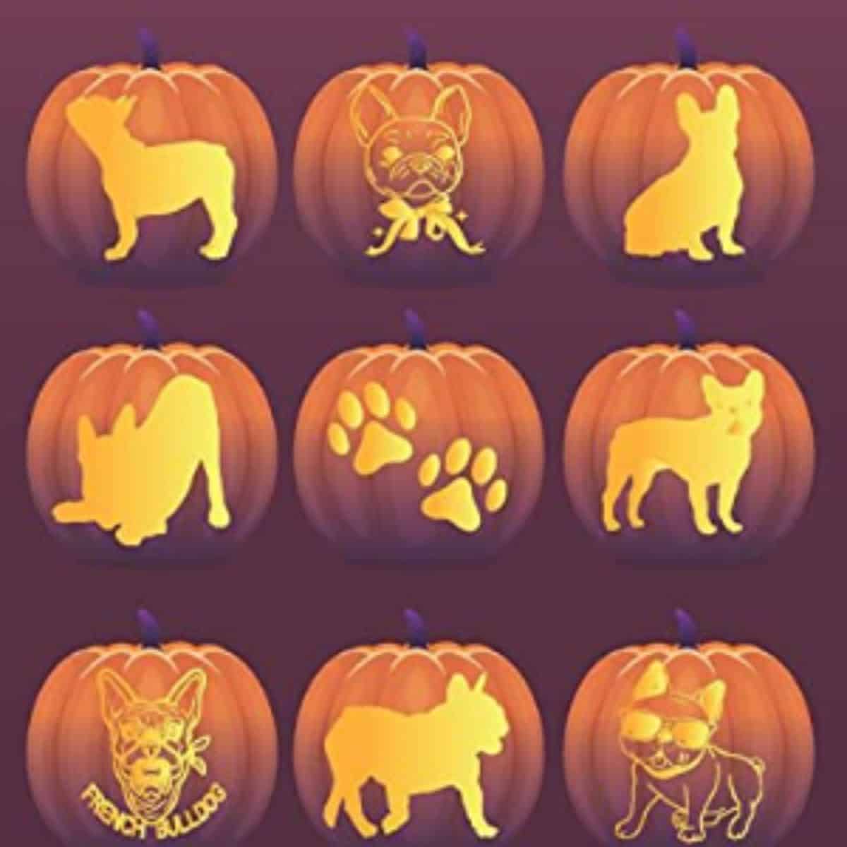 A group of 9 orange pumpkin carved with dog stencils.