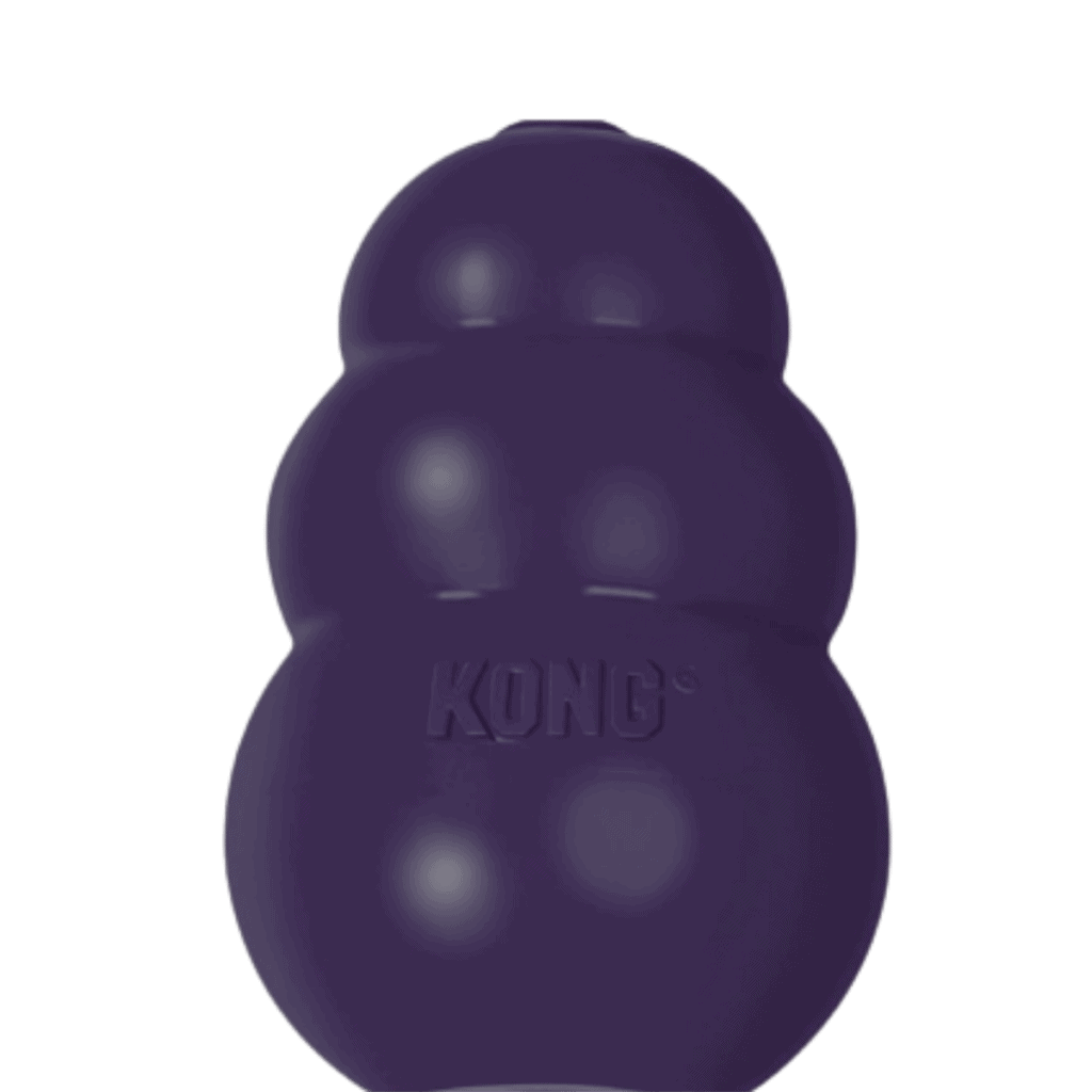 Purple kong toy for senior dogs