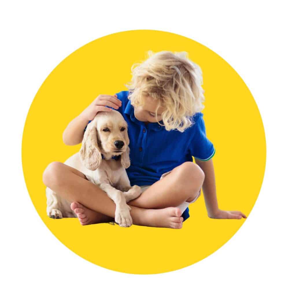 blonde child in blue shirt playing with a a golden colored puppy