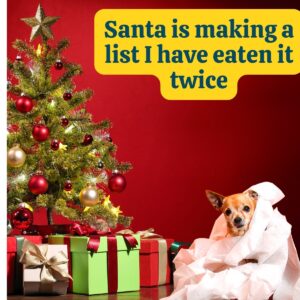 small dog sitting beside a Christmas tree wrapped in paper with cute dog christmas saying 