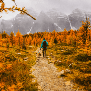 Person and dog walking through fall scenery in the mountains on a path
