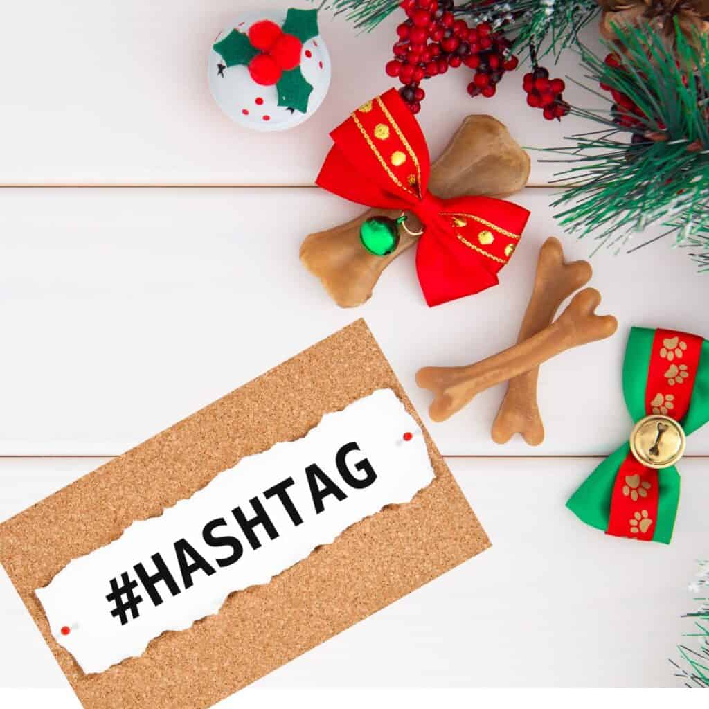 Dog sign hashtags dog bones and Christmas ornament ideas