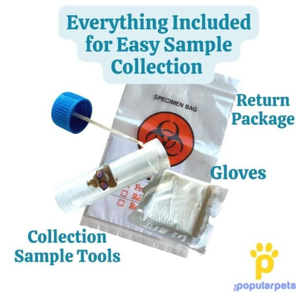 Items included in the dog worm testing kit, sample bags, gloves and bag on white background