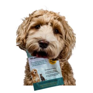 Goldendoodle holding a worm testing kit in his mouth on white background