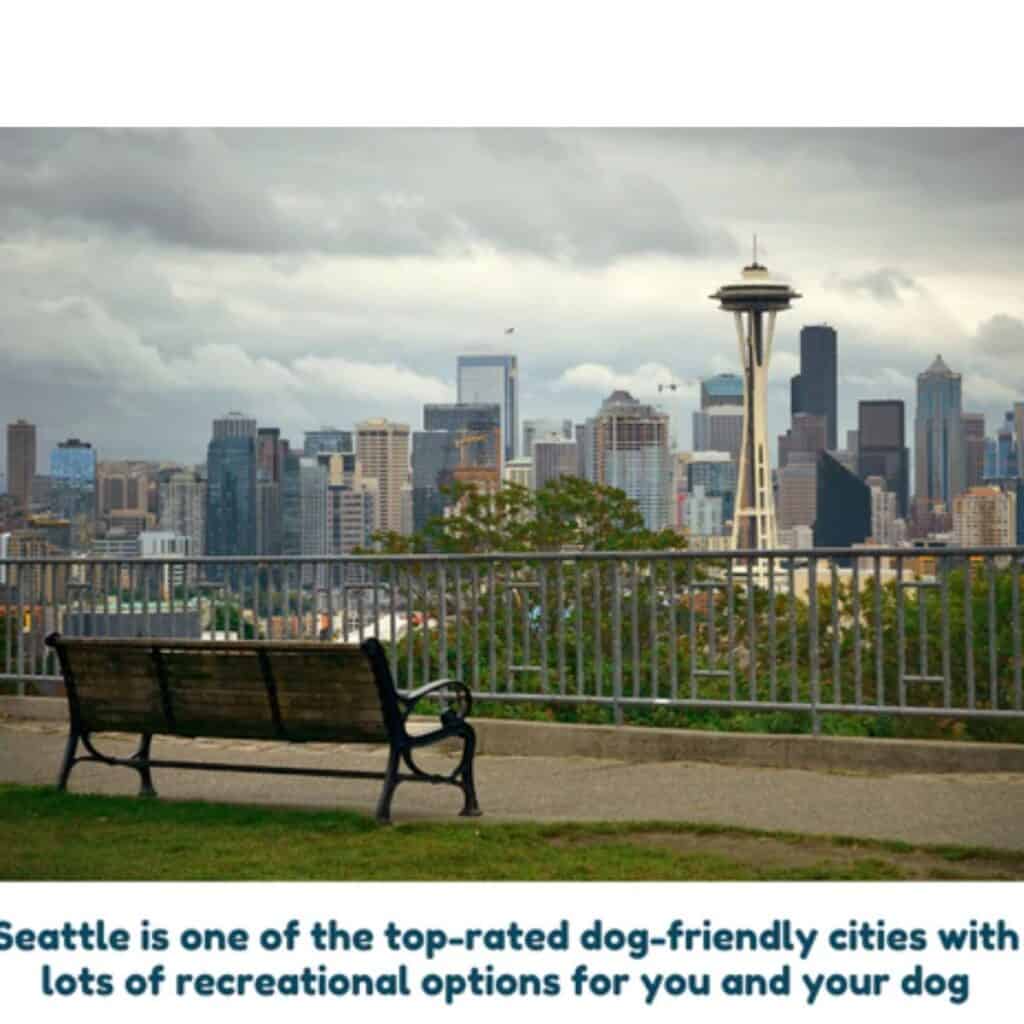 A park bench looking into the Seattle skyline of the space needle with a comment below picture about dog friendly city of Seattle.