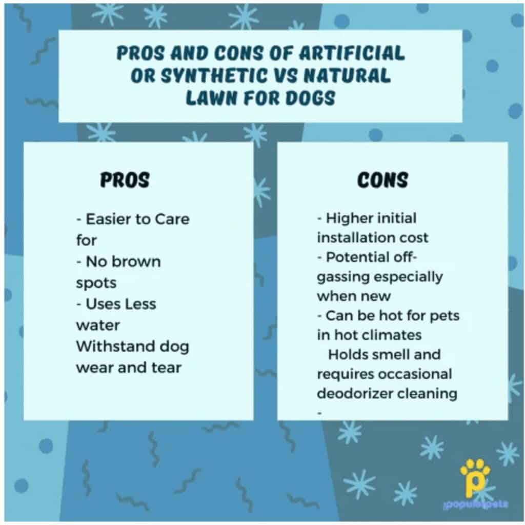 Infographic depicting the pros and cons of artificial grass versus natural grass for dogs.