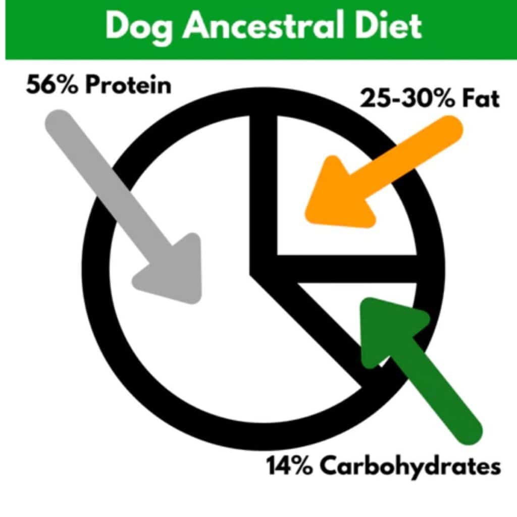 Image infographic of a dog ancestral diet split between protein, fat and carbs.
