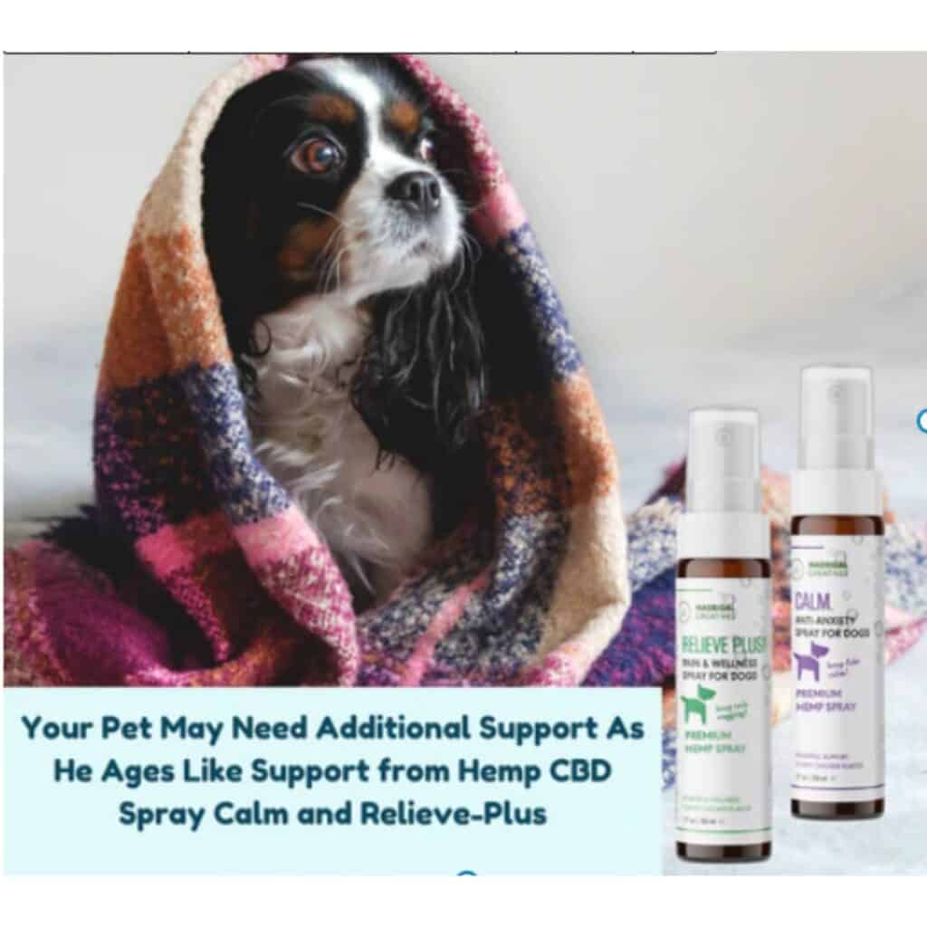 Brown and black dog under a orange, white and blue checked blanket with Calm and Relieve plus hemp CBD spray in the bottom right of the picture. 