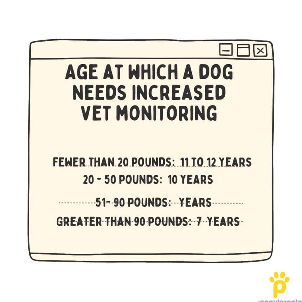 Infographic which depicts the age when a dog needs increased vet monitoring or vest visit frequency for senior dogs.