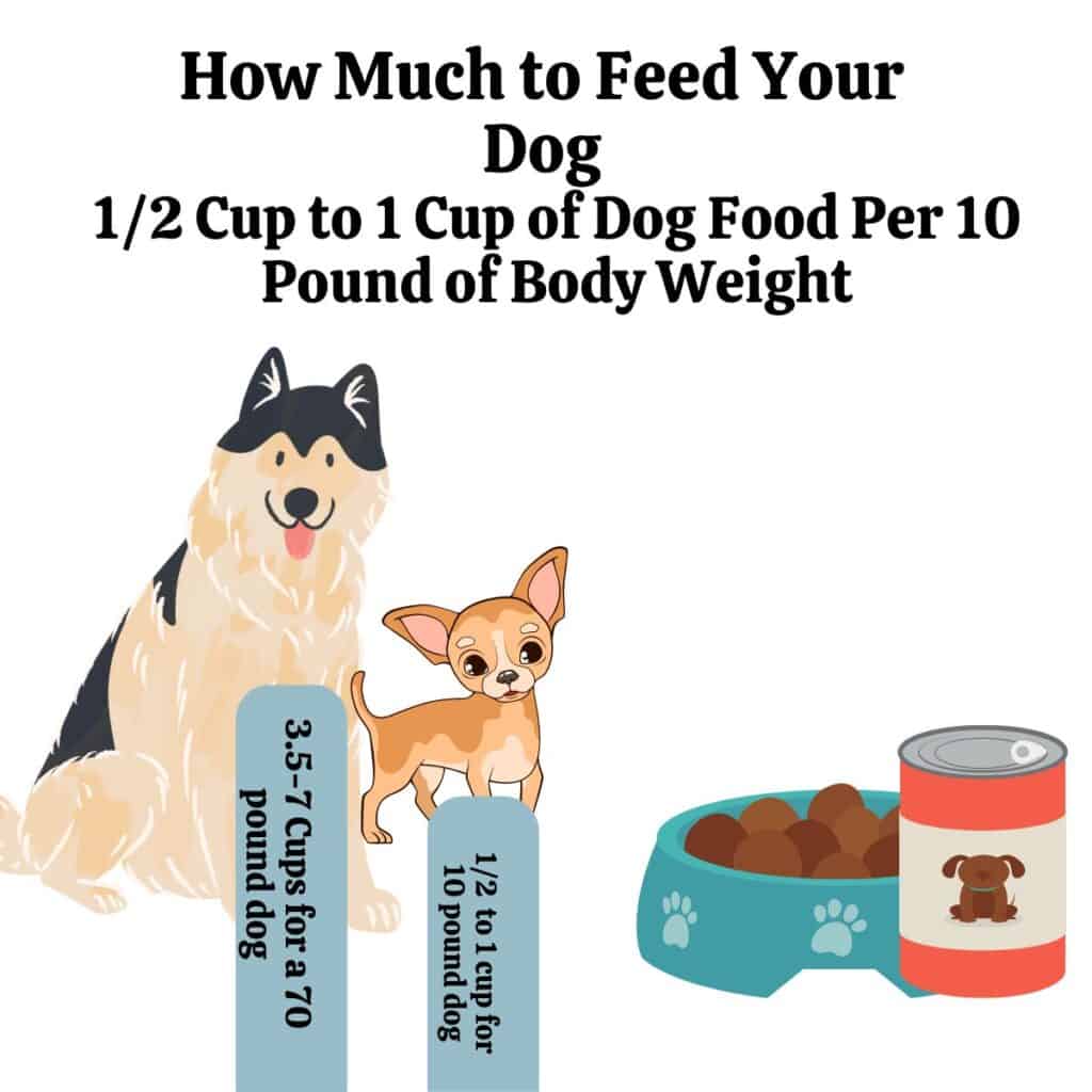 Infographic chart depicting how much to feed your dog with cartoons of large and small dog and dog food.  