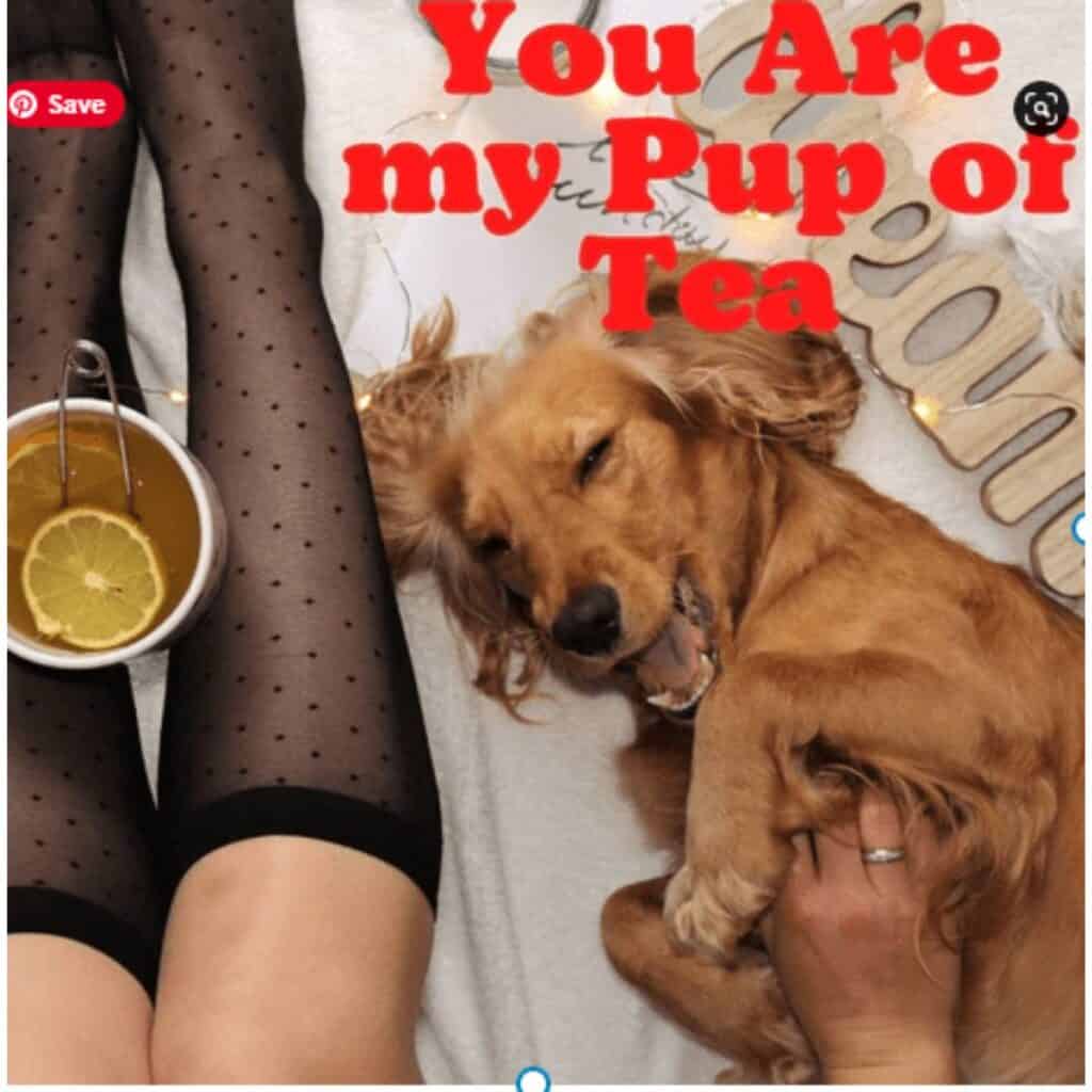 Dog lying on his back beside a persons legs with black stockings and a cup of tea with a saying "you are my pup of tea."