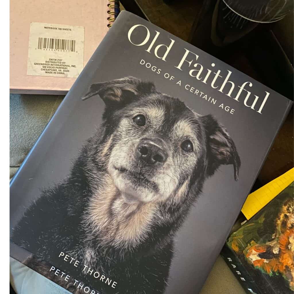 Senior dog book "Old Faithful, Dogs of a Certain Age" lying flat on a table.