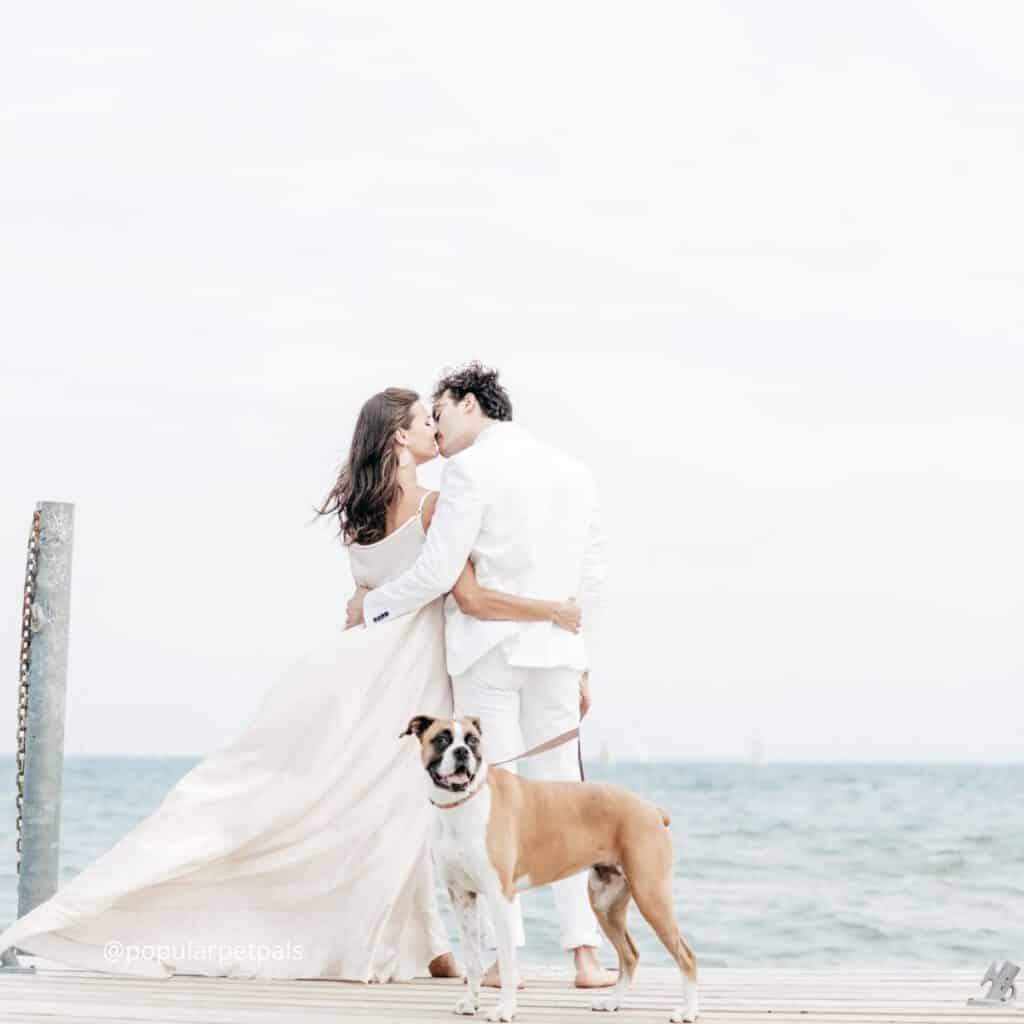 Boxer dog with a couple getting a wedding photo taking on a pier.