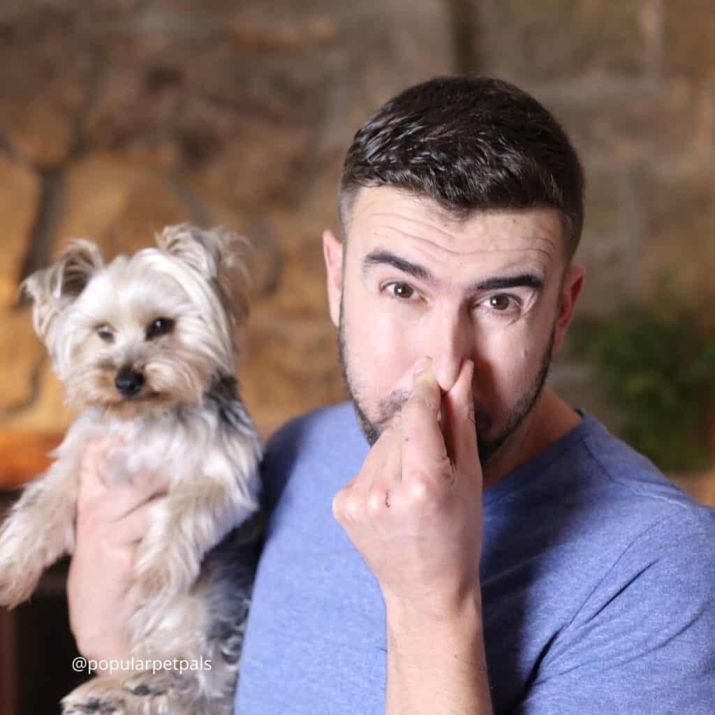A man in a blue shirt holding a small fluffy dog while plugging his nose.