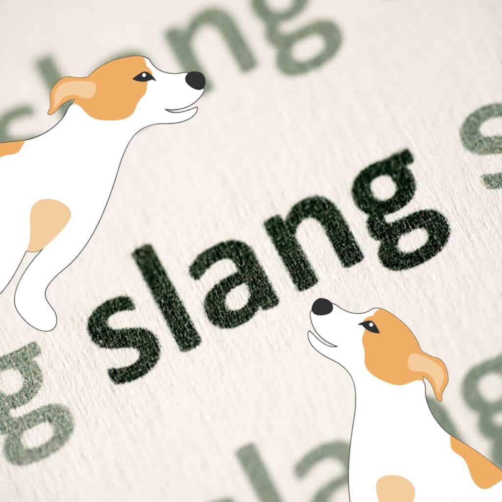 A close up photo of the words slang with two brown and white cartoon dogs.