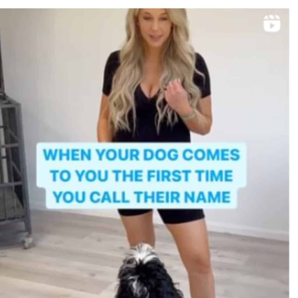 Blonde woman standing in front of  dog to train the dog with the caption in the photo "when your dog comes to you for the first time when you call their name."