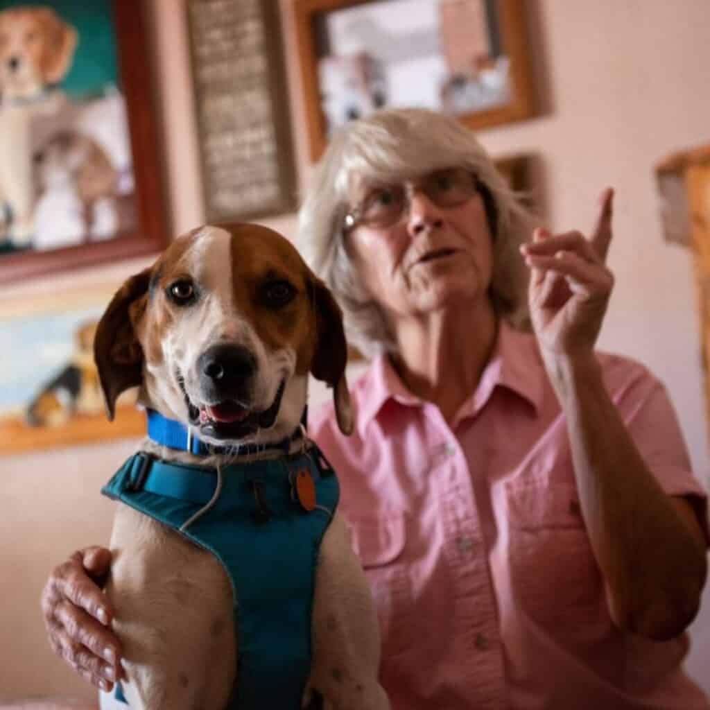 An older woman pet rescue volunteer with an arm around a brown and white hound dog type dog in a pink shirt. 
