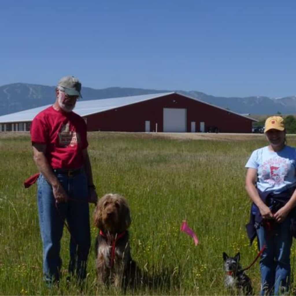 Dogs and their owners standing in a field at summer dog camp.