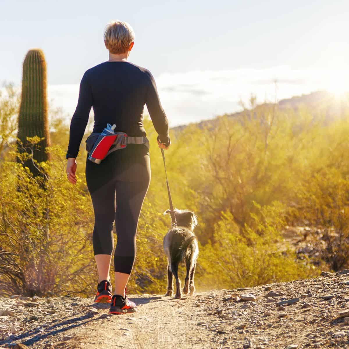 Lady walking away near cactus with a small grey dog on her leash.