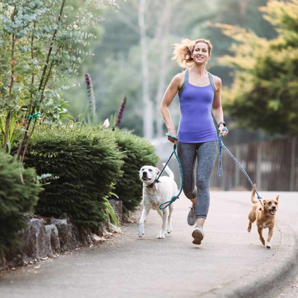 Woman with blue shirt running with a Labrador and a small Chihuahua.
