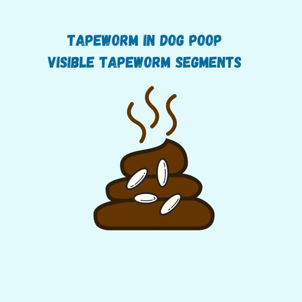 A cartoon image of dog poop with small tapeworms in it.