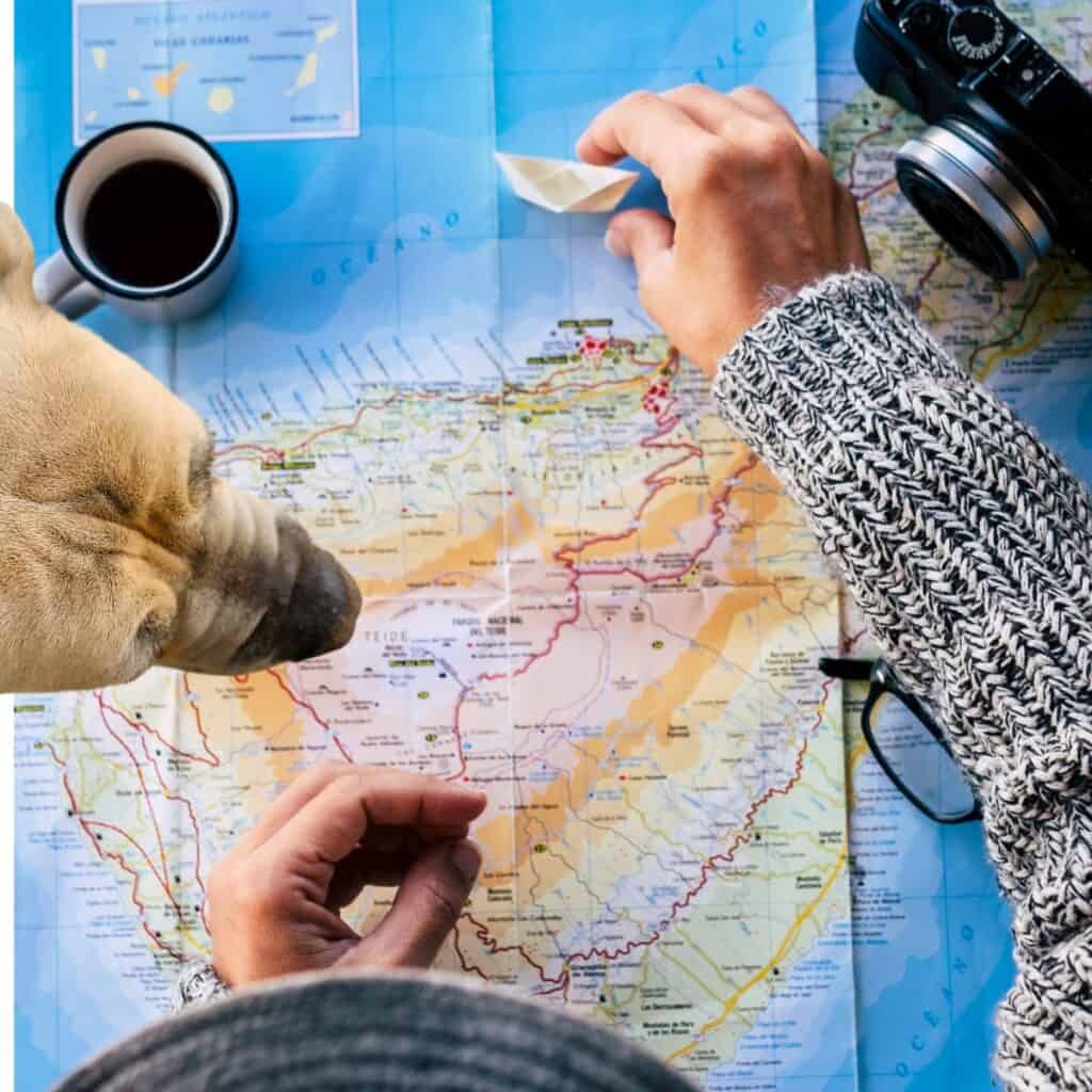 Looking at a woman from above who is looking at a map with a dog nose.